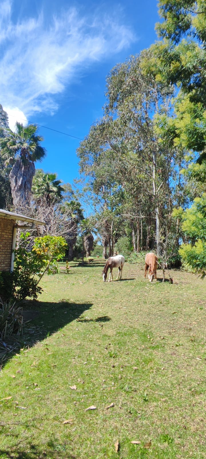 WhatsApp Image 2025-10-04 at 18.16.54 (2)