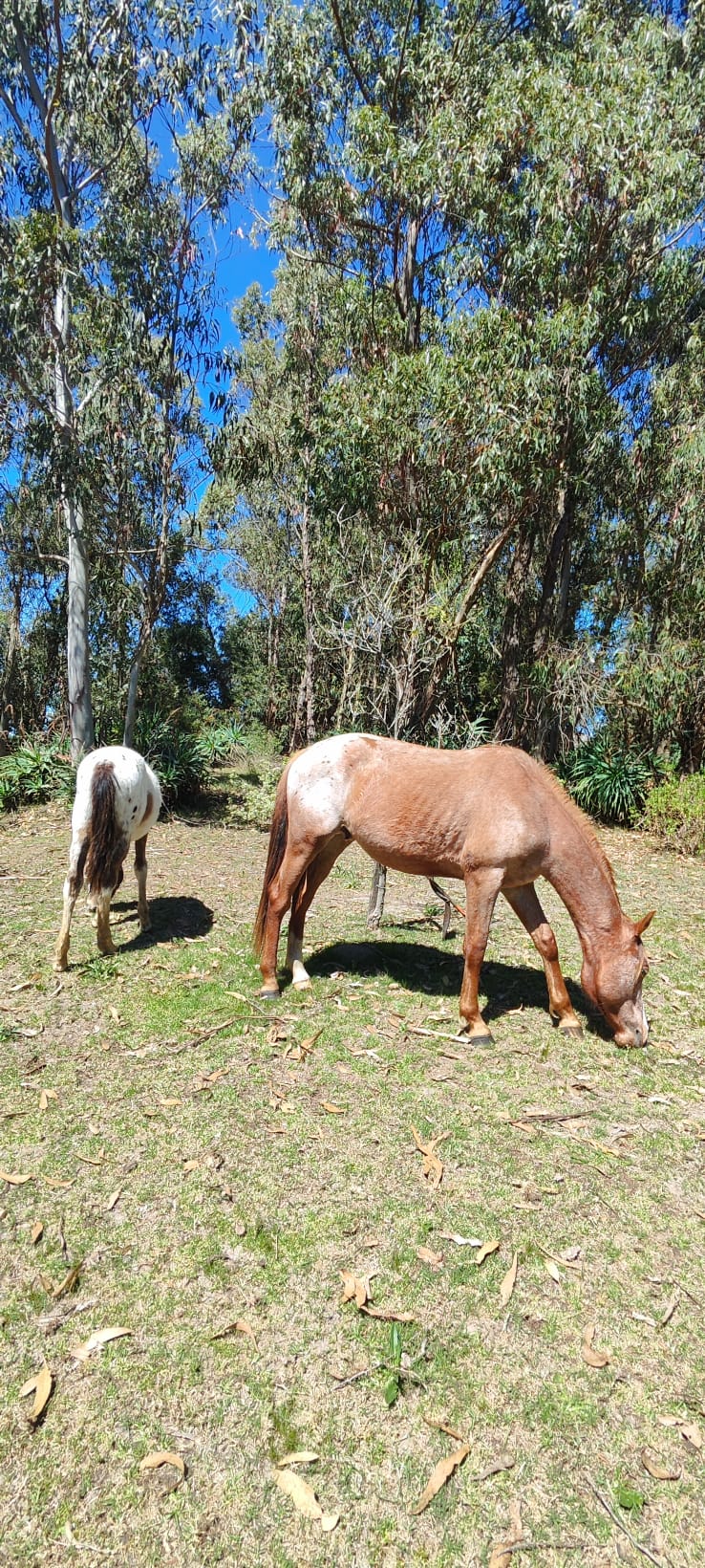 WhatsApp Image 2025-10-04 at 18.16.54