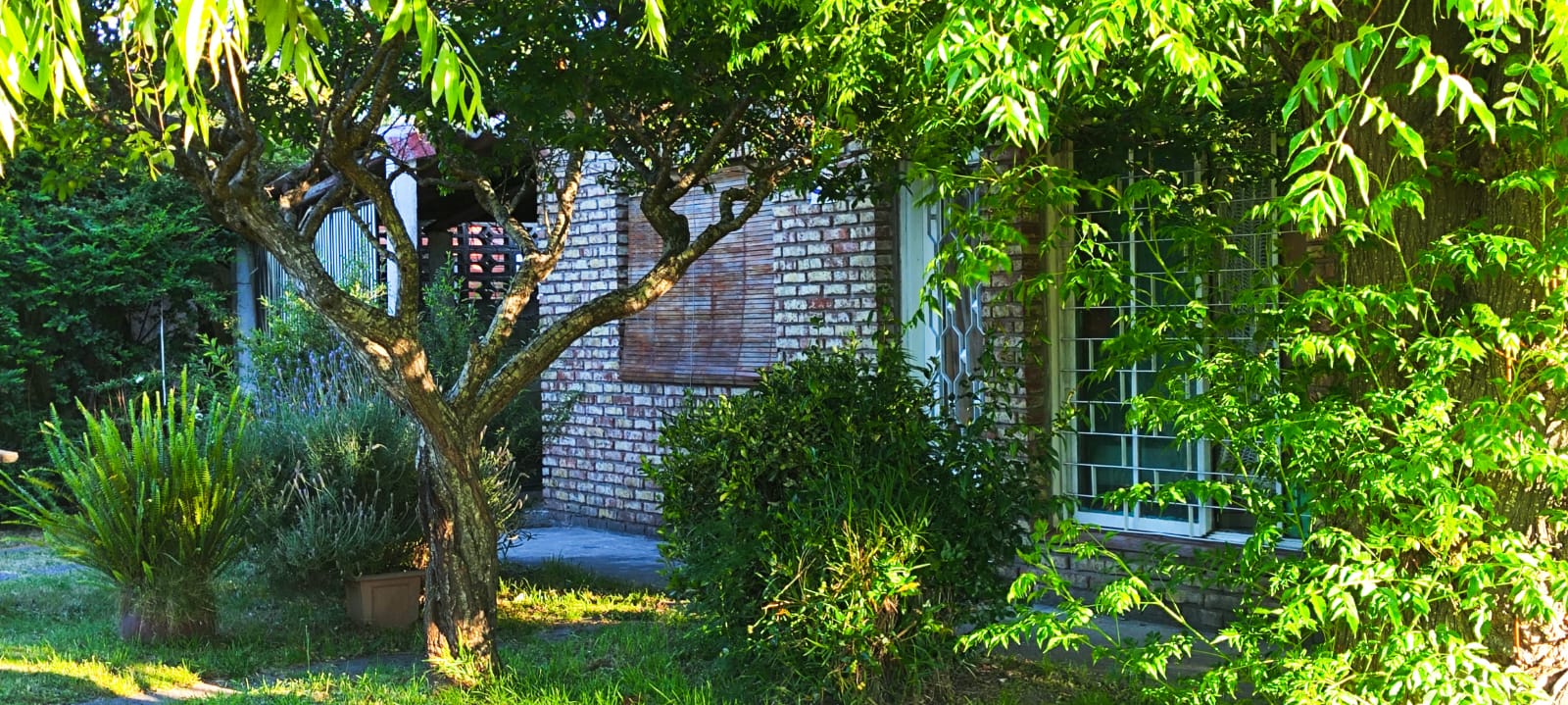 WhatsApp Image 2025-11-15 at 19.30.20 (1)