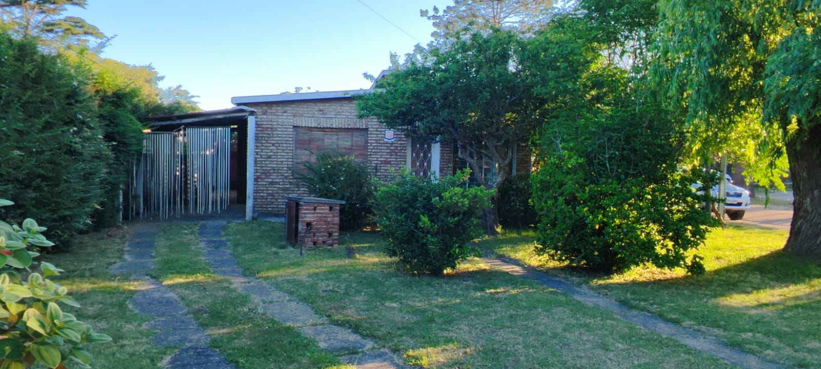 WhatsApp Image 2025-11-15 at 19.30.20